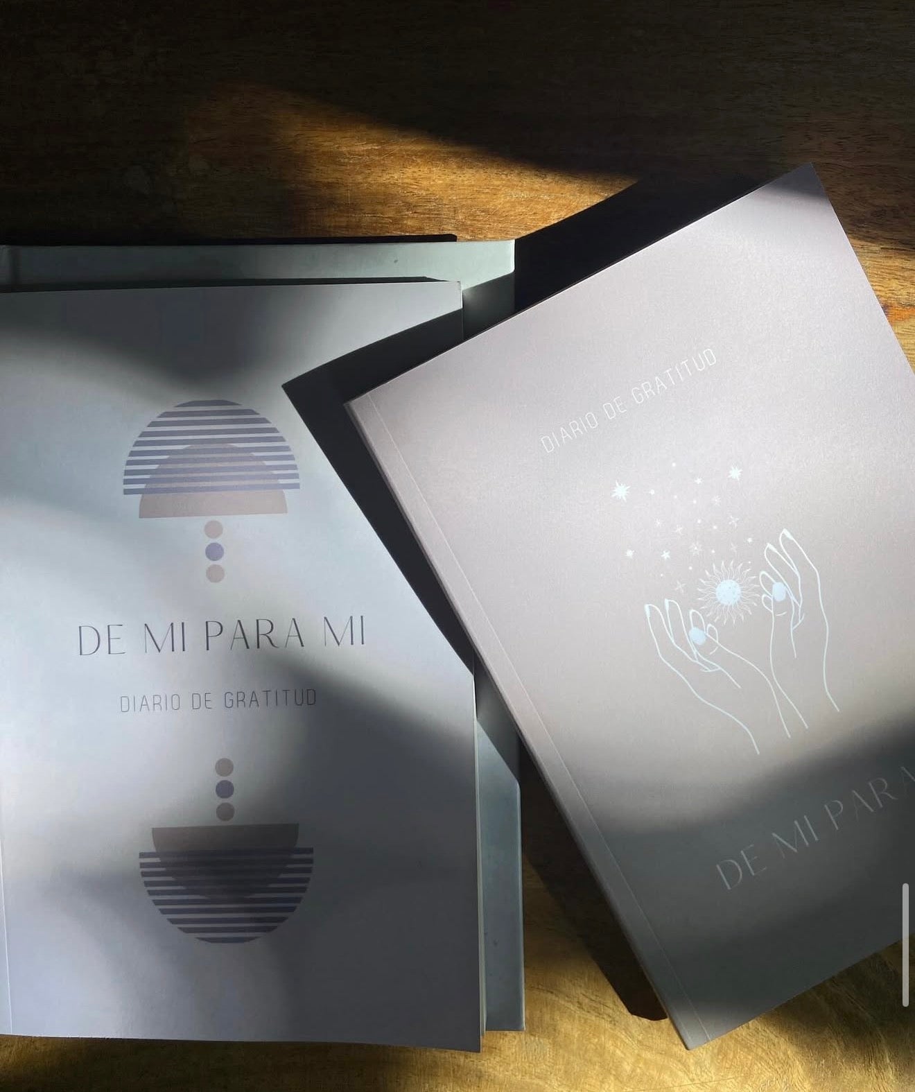 Journal de Gratitud 1ª Versión Geometrico Gris
