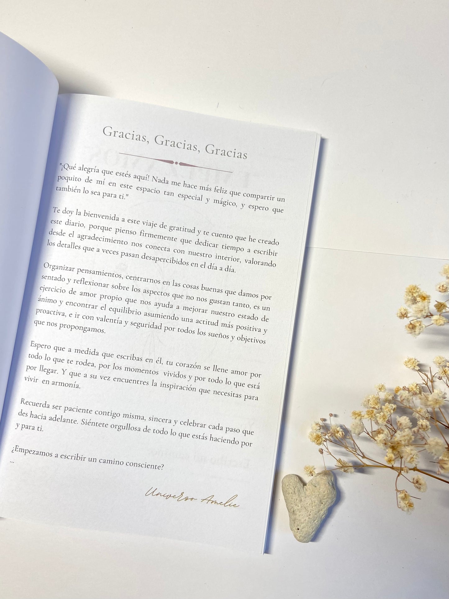 Journal de Gratitud Flor Corto Azul