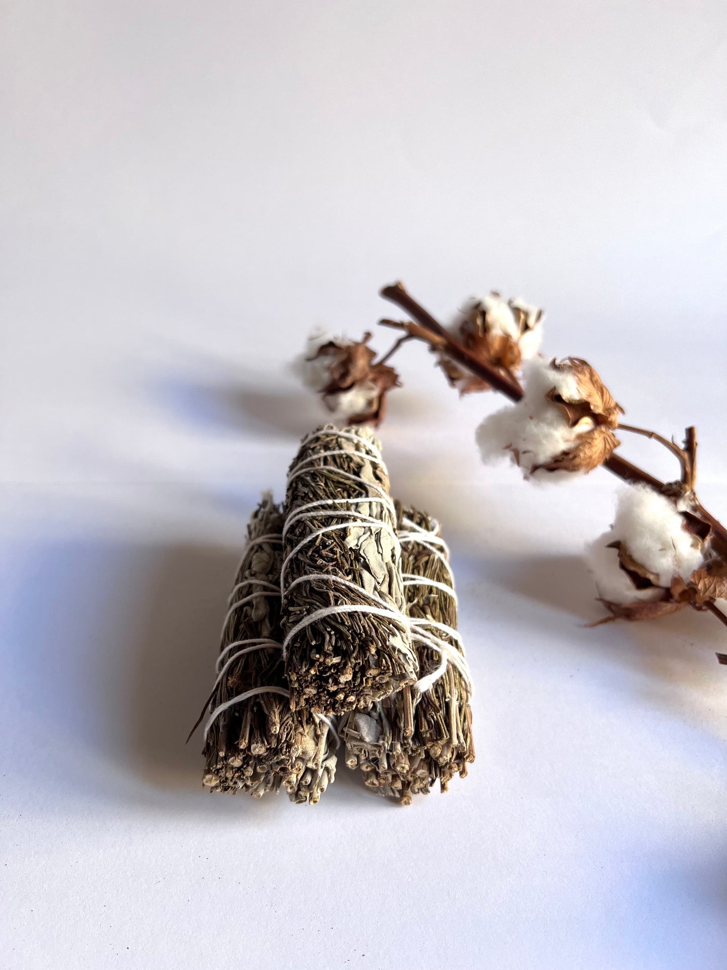 Atado - Salvia Blanca y Romero