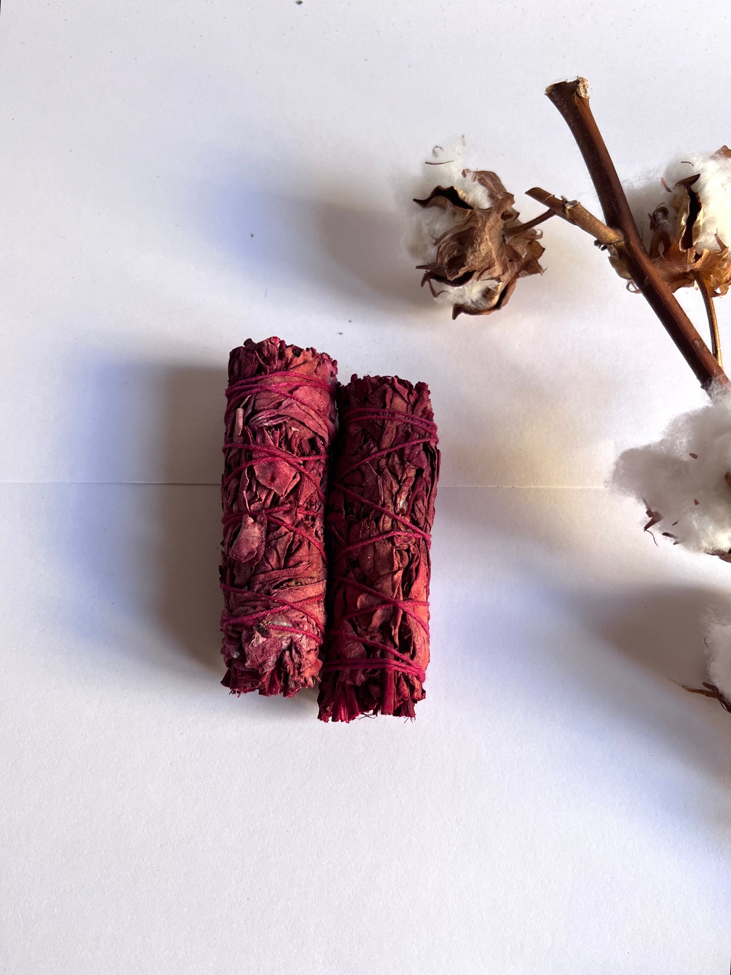 Atado - Sangre de Dragón