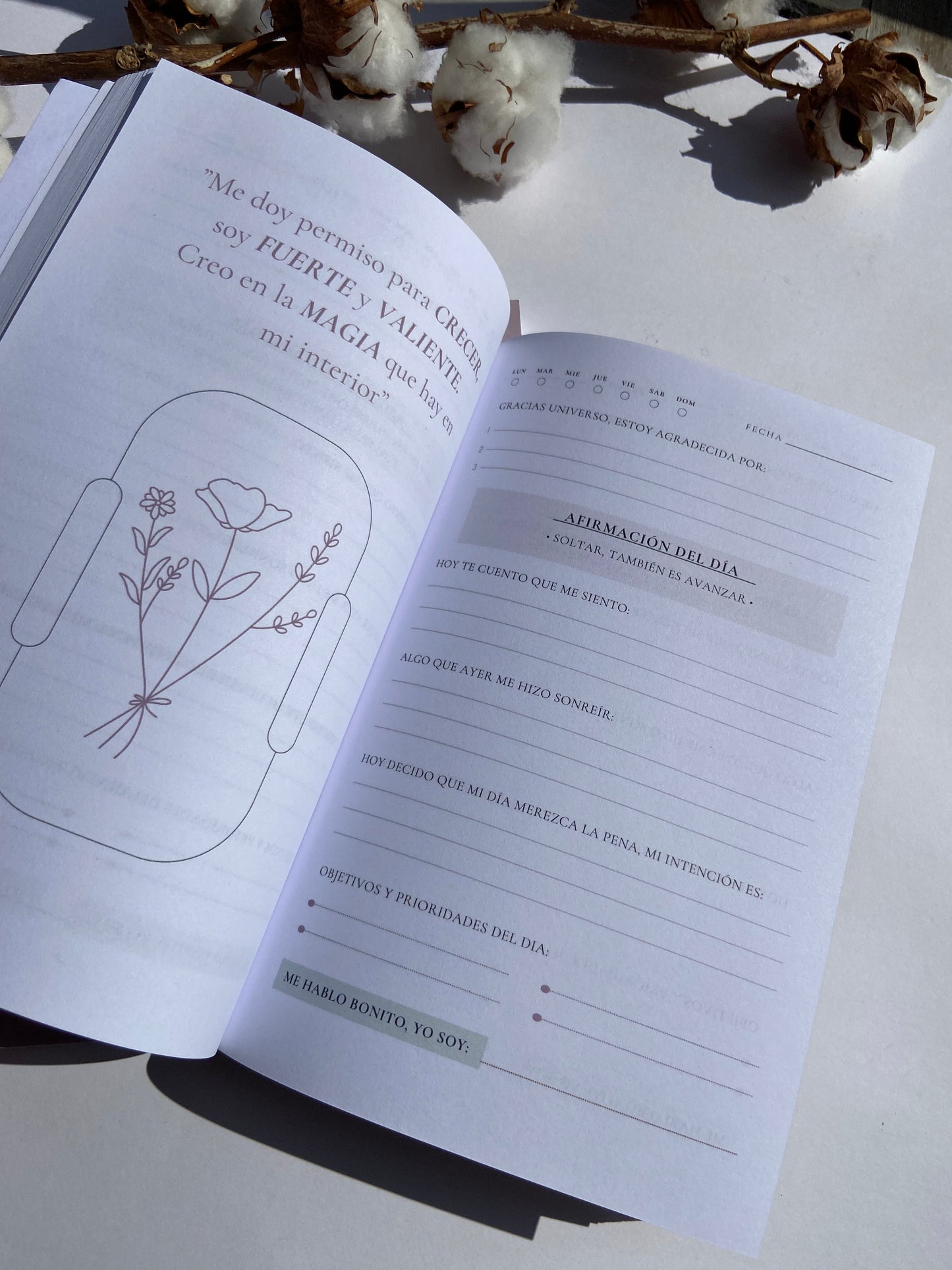 Journal de Amor Propio Version larga Manos